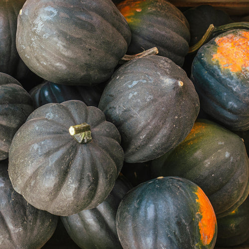 Acorn Squashes
