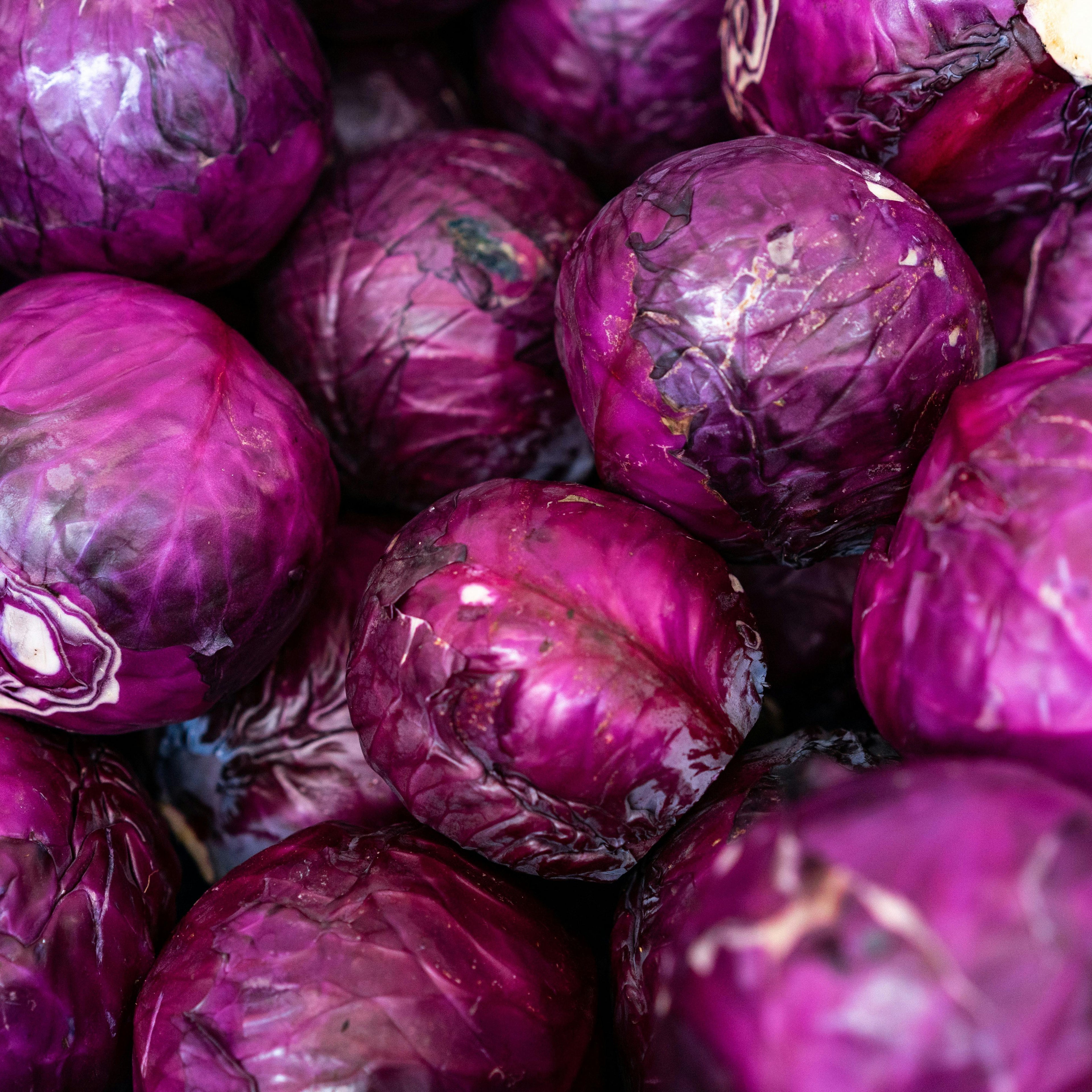Red Cabbages