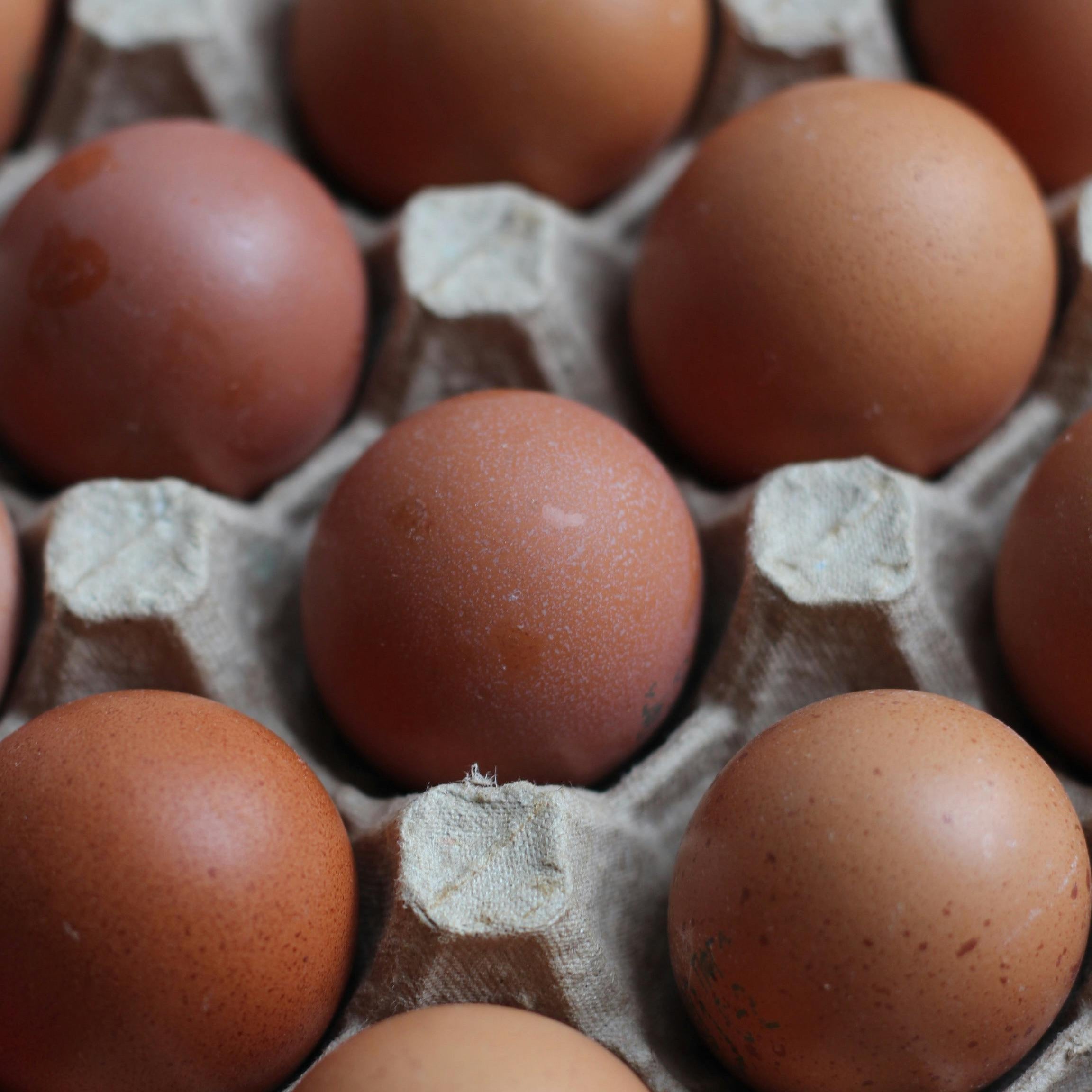 Organic Eggs