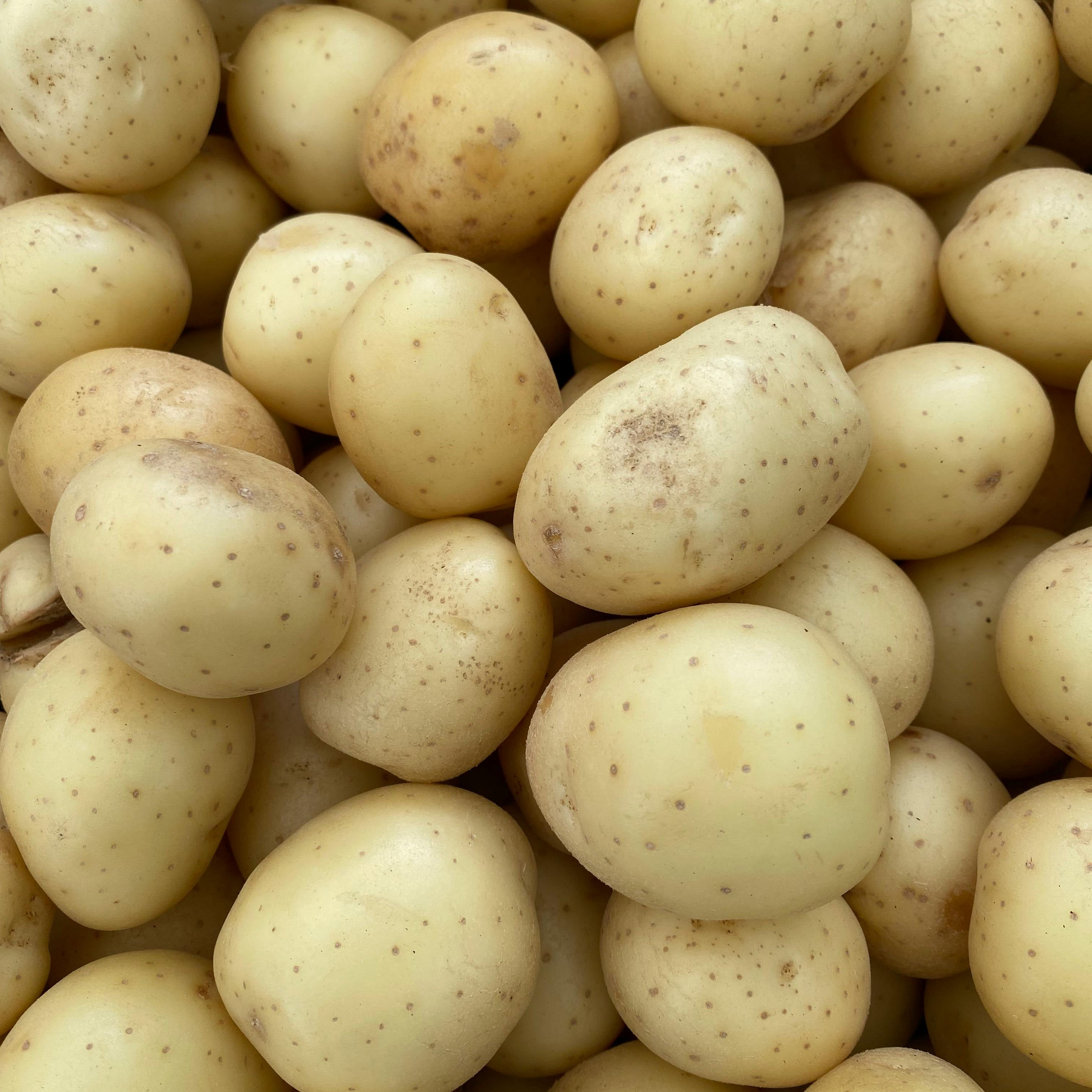 Bagged Baby Potatoes