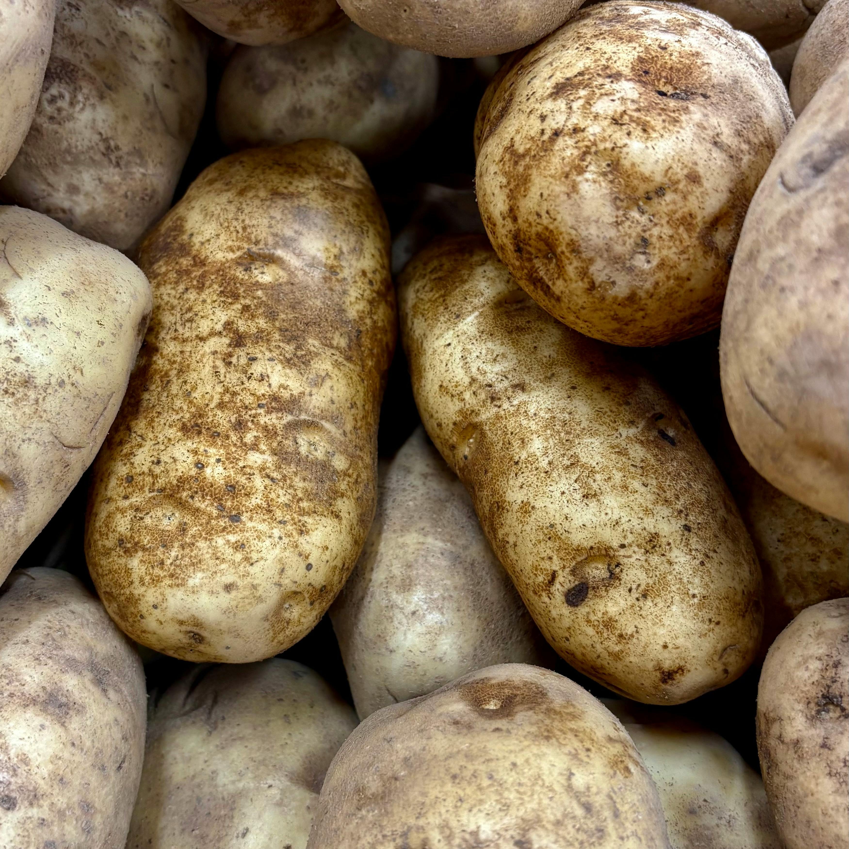 Russet Potatoes
