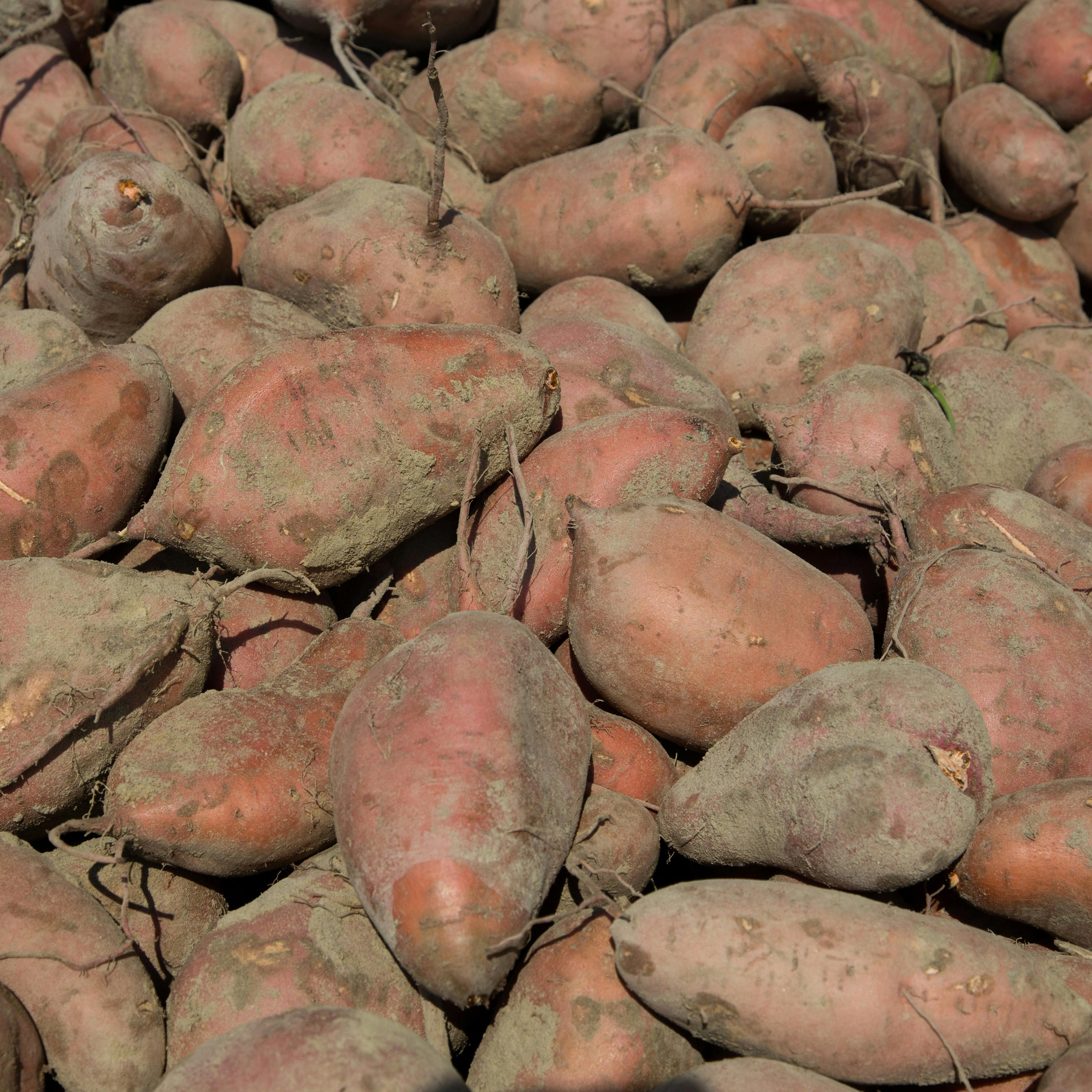 Sweet Potatoes